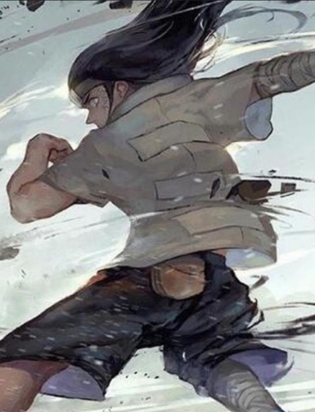 Portada de Naruto: Evil Hyuga